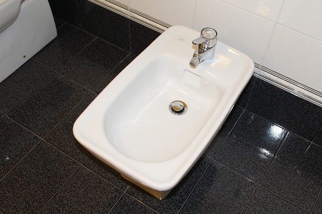 bidet-1023521_640