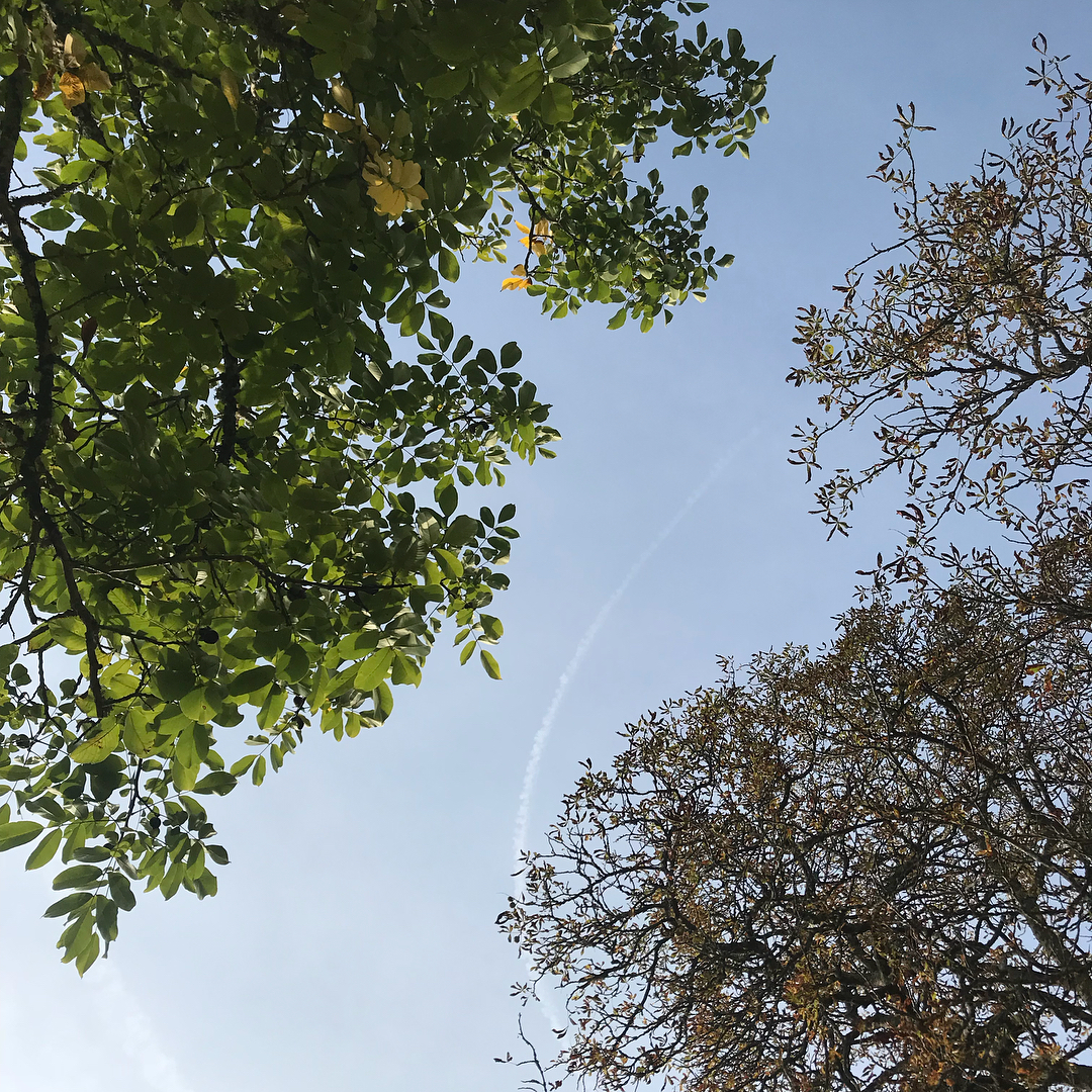 39400551_531350167286452_3262619692488982528_n